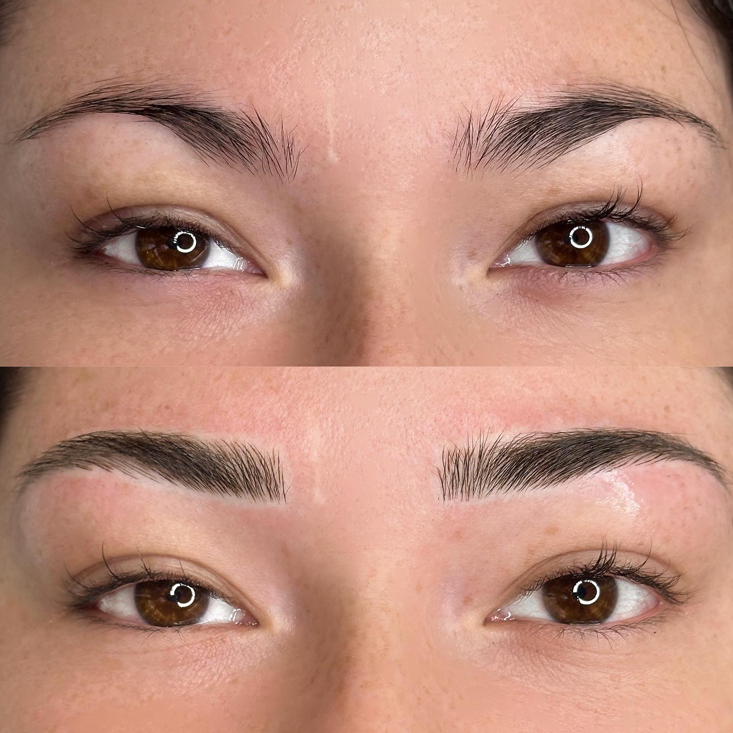 Microblading and Touch up